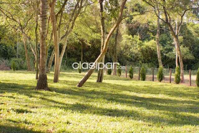 Descansar en medio de la naturaleza es posible! — foto 4