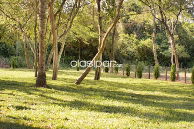 Aregua forest, tu lugar de descanso rodeado de naturaleza — foto 4