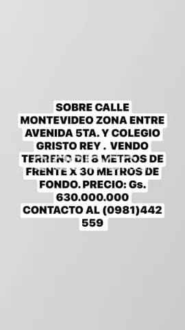 Terreno sobre la calle montevideo entre avenida 5ta. Y colegio cristo rey, foto 2