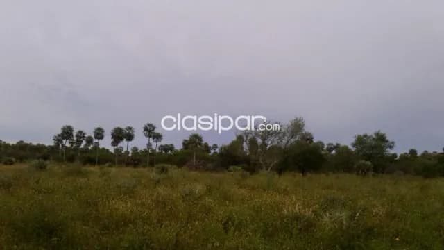 Campo Agrícola/Ganadero en General Bruguez - 374 Ha — foto 2