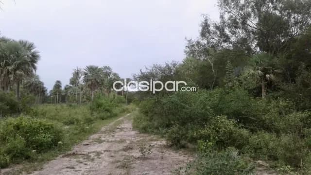 Campo Agrícola/Ganadero en General Bruguez - 374 Ha — foto 3