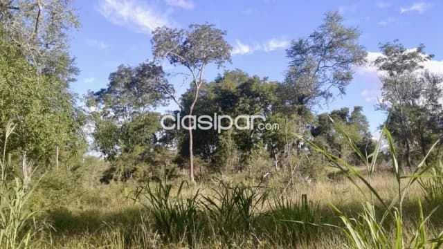 Campo Agrícola/Ganadero en General Bruguez - 374 Ha — foto 5