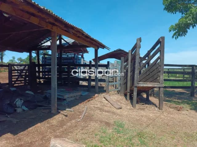 Campo Ganadero en Coronel Oviedo - 31 Ha, foto 4