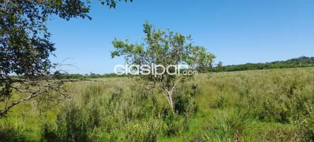 Campo Agrícola/Ganadero en Escobar - 20 Ha, foto 3