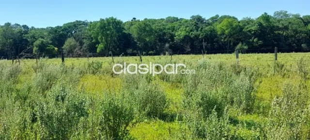 Campo Agrícola/Ganadero en Escobar - 20 Ha, foto 4