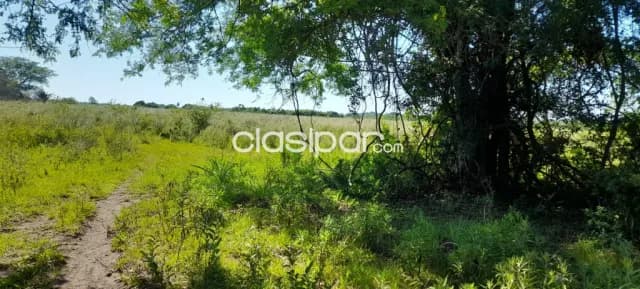 Campo Agrícola/Ganadero en Escobar - 20 Ha, foto 5