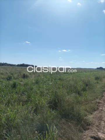 Caazapá, itapua: 8.652 has, ideal p/ soja, maíz, girasol, mecanizadas, 3.000 usd — foto 2