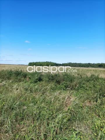 Caazapá, itapua: 8.652 has, ideal p/ soja, maíz, girasol, mecanizadas, 3.000 usd — foto 3