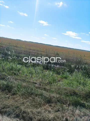 Caazapá, itapua: 8.652 has, ideal p/ soja, maíz, girasol, mecanizadas, 3.000 usd — foto 4