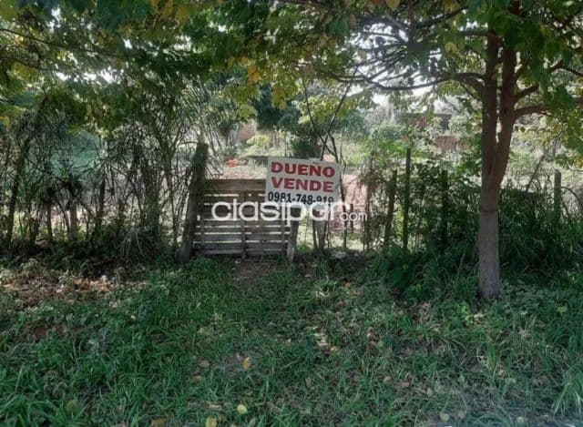 Terreno en San Lorenzo san miguel zona jacarand — foto 1