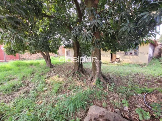 Terreno en fdo de la mora sobre av. Laguna grande b. San miguel, foto 4