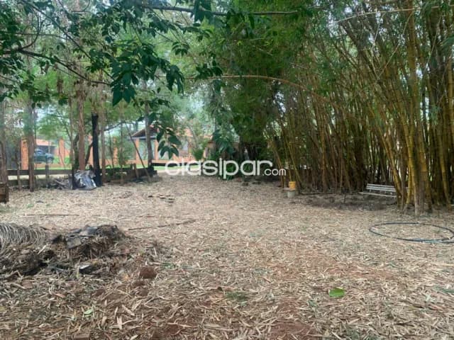 terreno en San Bernardino, foto 4