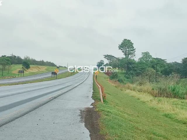 En venta propiedad de 20 ha colonia yguazu - alto parana — foto 5