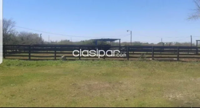 Campo Agrícola/Ganadero/Industrial sobre Ruta y costa al Río Py en Alberdi - 84 Ha — foto 3