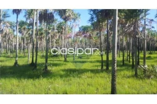 Estancia formada de 1796 hectareas a tan solo 500 usd por hectarea .!! — foto 2