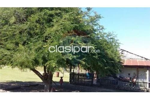 Estancia formada de 1796 hectareas a tan solo 500 usd por hectarea .!! — foto 4