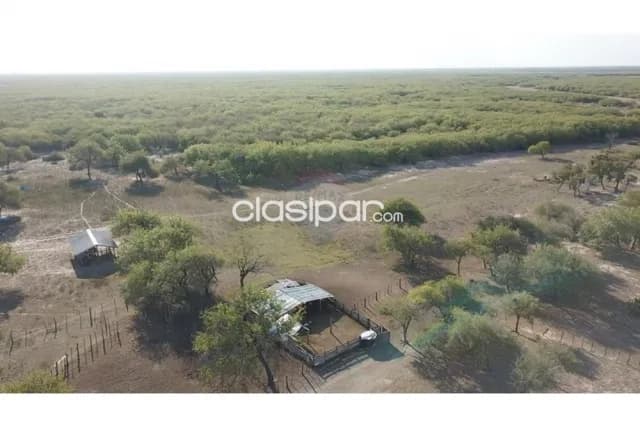 Campo en venta de 921 has - presidente hayes — foto 2