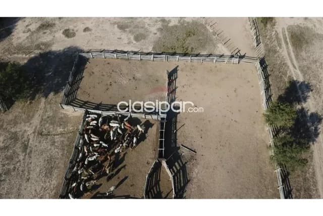 Campo en venta de 921 has - presidente hayes — foto 4