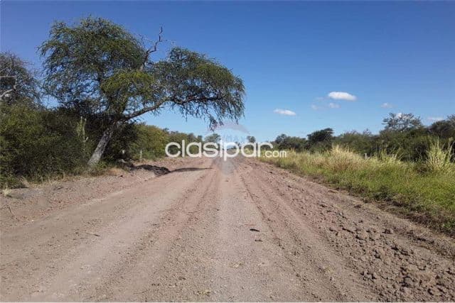 En venta campo de 1599 has, foto 1