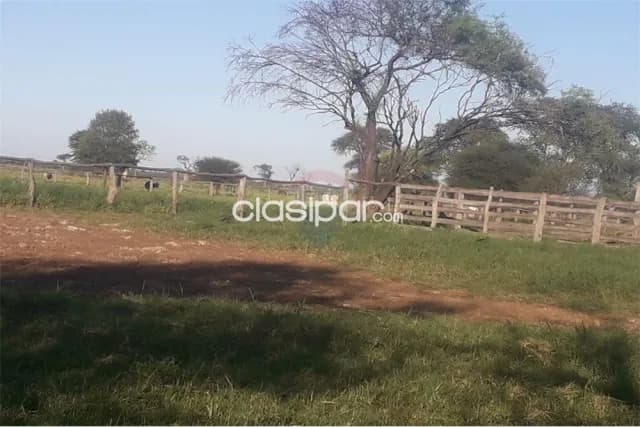 En venta campo de 1599 has, foto 3