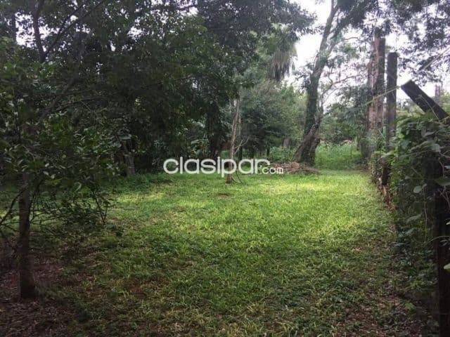 Terreno de 3.600 m2 en Luque sobre calle america