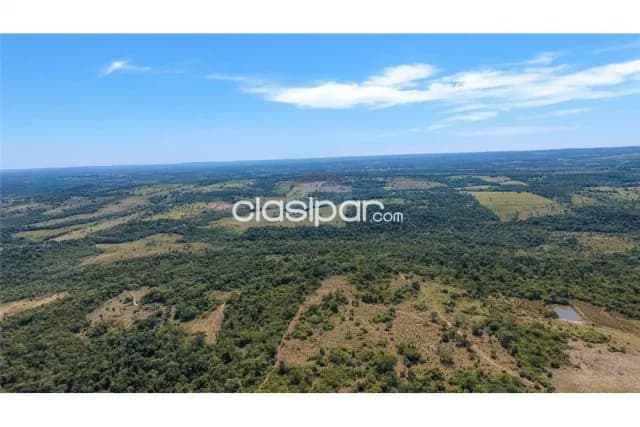 En venta establecimiento agro ganadero en caaguazu, foto 4