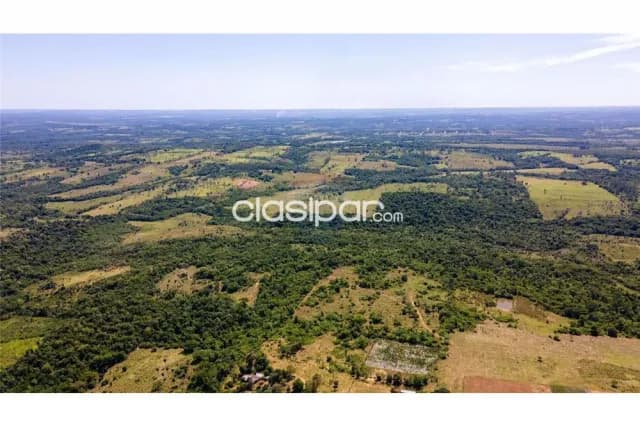 En venta establecimiento agro ganadero en caaguazu, foto 5