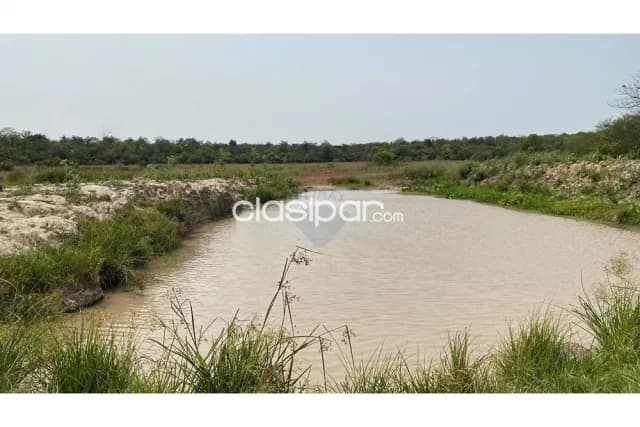 En venta estancia formada en simon bolivar depto de caaguazu, foto 3