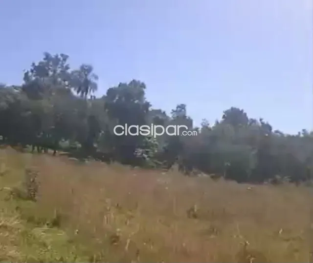 Terreno Rural en San Cosme y Damián costas al Río Paraná - 12 Ha, foto 4