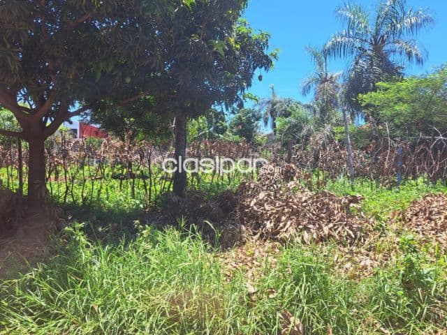 Terreno en Luque Zona Laurelty