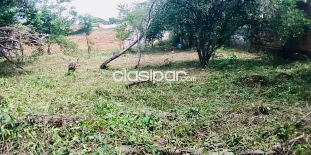 Terreno en San Lorenzo zona stock avelino cod 4897 — foto 2