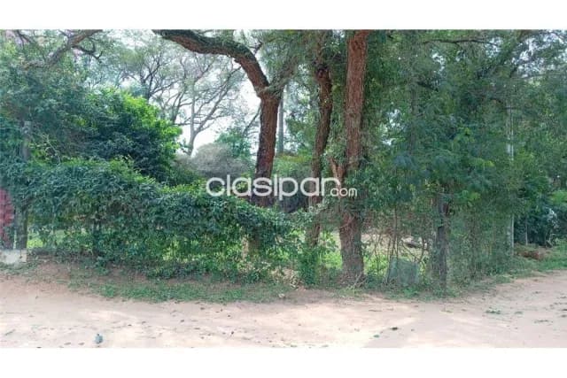 Terreno en el centro de Mariano Roque Alonso, foto 2