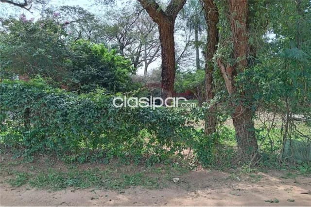 Terreno en el centro de Mariano Roque Alonso, foto 3