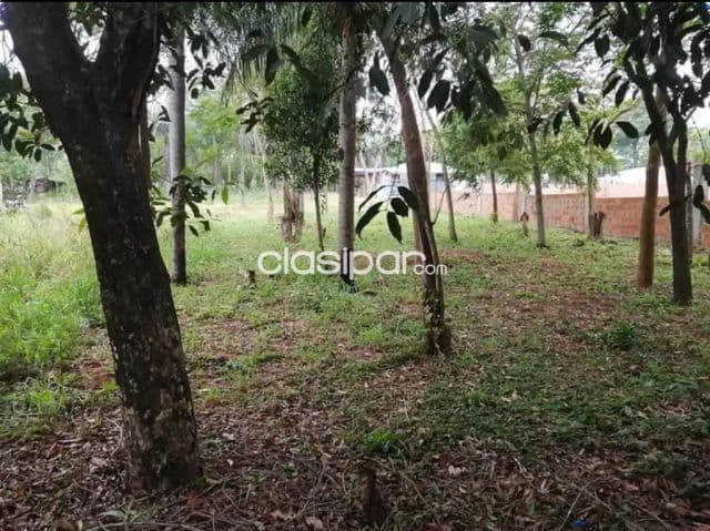 Terreno en ypane centro