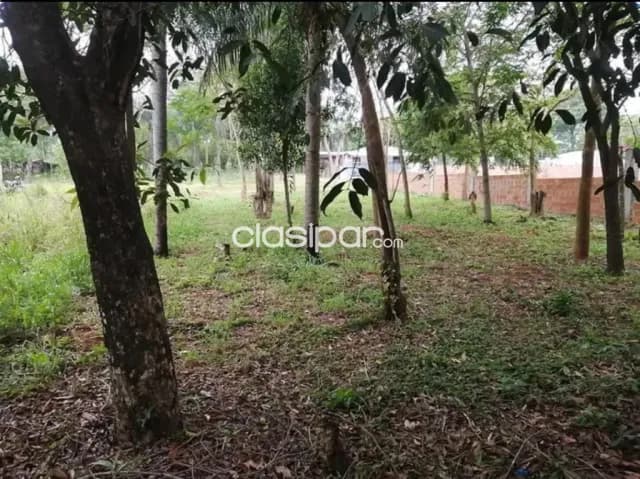 Terreno en ypane centro — foto 2