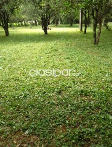Terreno en ypane centro — foto 1