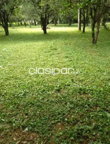 Terreno en ypane centro — foto 2
