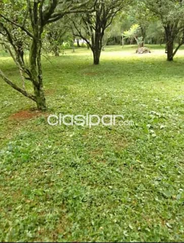 Terreno en ypane centro — foto 3