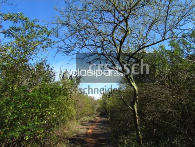 2.480 ha en venta - Mcal. Estigarribia, Boquerón, foto 2