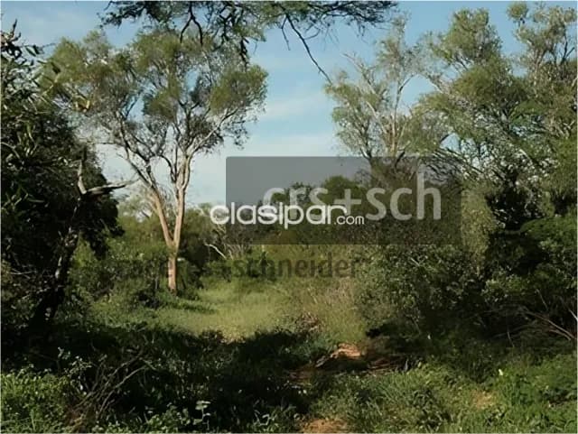 2.480 ha en venta - Mcal. Estigarribia, Boquerón, foto 3