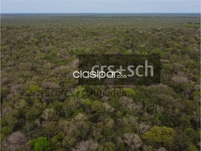 2.480 ha en venta - Mcal. Estigarribia, Boquerón, foto 4