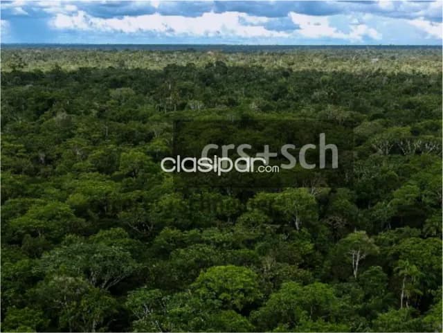2.480 ha en venta - Mcal. Estigarribia, Boquerón, foto 5