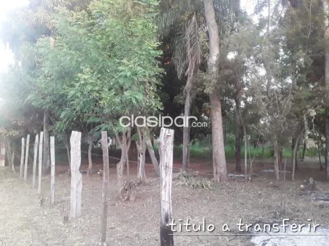Terreno en Luque zona itapuami — foto 4