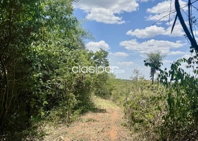 Terreno Rural en Emboscada - 10 Ha — foto 1