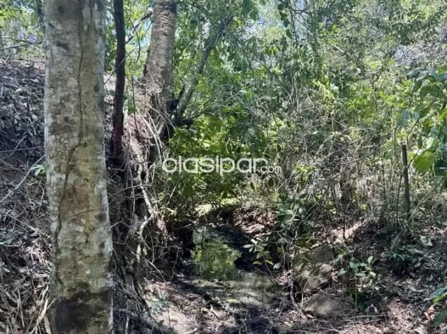 Terreno Rural en Emboscada - 10 Ha — foto 3