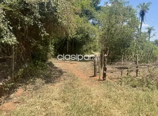 Terreno Rural en Emboscada - 10 Ha — foto 5