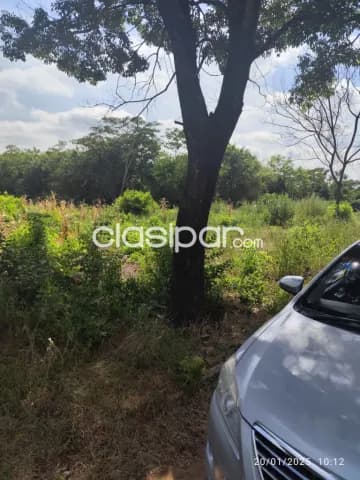 Ventas de terreno de 10 ha.en Paraguarí, foto 3