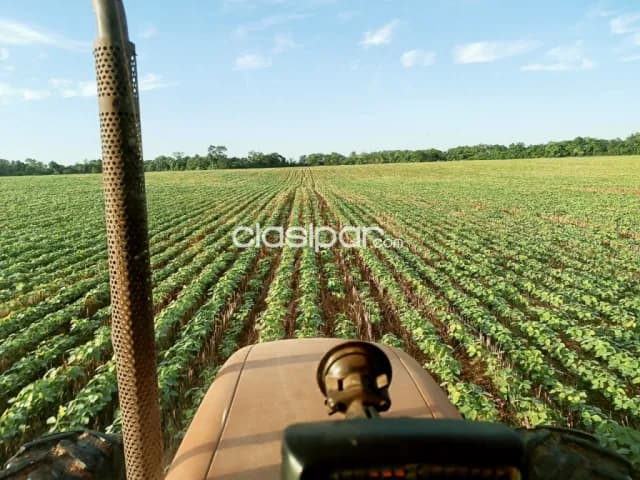 Campo Agrícola Mecanizado en Tava’i sobre Ruta - 643 Ha, foto 3