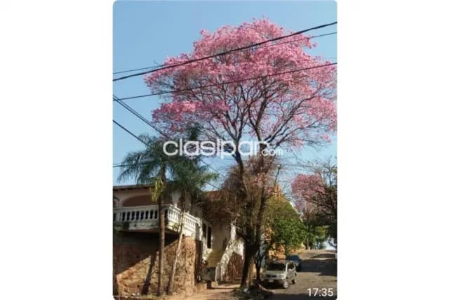 Terreno - Venta - Paraguay Asunción Ciudad Nueva, foto 3
