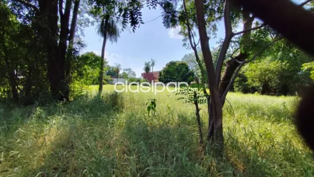 En venta terreno en laurelty Luque id 31844 — foto 2